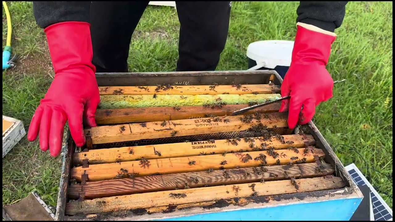 ΠΡΩΤΗ ΕΠΙΘΕΩΡΗΣΗ  (2026) ΚΑΛΗ ΧΡΟΝΙΑ.