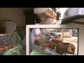 أرزاق رؤينة شحادة/ بائعة فطاير