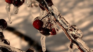 "Winter Wonder" And Original Composition on the Double Strung Harp