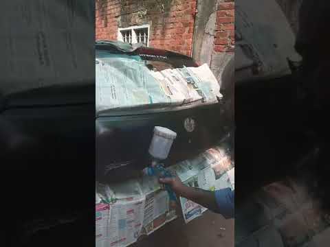 Fiat Punto Paunting