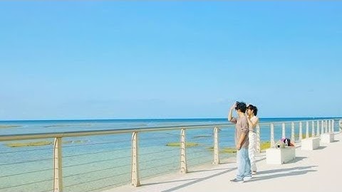 仲間由紀恵が感情を爆発　『STEP OUT にーにーのニライカナイ』本予告＆場面写真公開