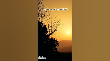 آيات من سورة آل عمران بصوت رعد الكردي مع مشهد الغروب.