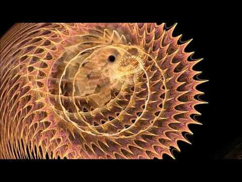 Byron Stingily  You Make Me Feel Don Carlos Dub Edit Manifesto Promo 1998