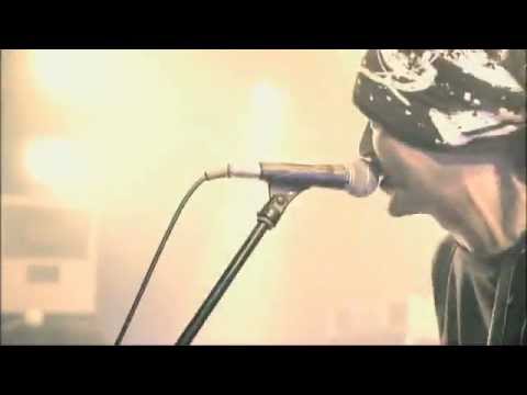 BUZZ THE BEARS - ダーリン【MUSIC VIDEO Short ver.】