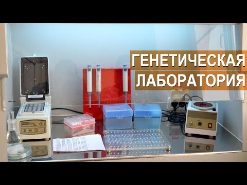 Лаборатория молекулярно-генетической диагностики