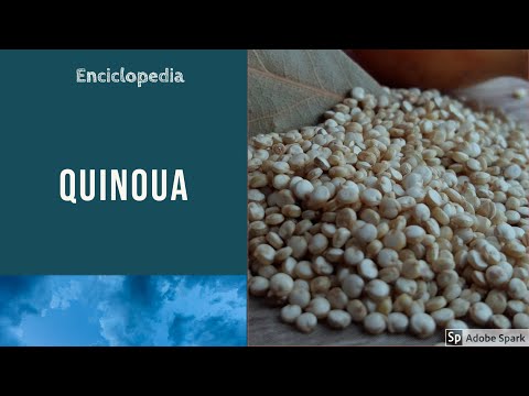Video: Semințe De In - Conținut Caloric, Proprietăți Utile, Valoare Nutrițională, Vitamine