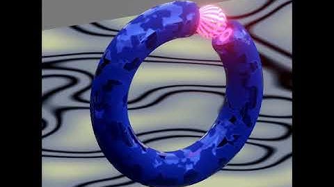 Electric Torus Sphere