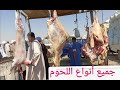 اسعار اللحم الضاني والعجالي داخل سوق المواشي