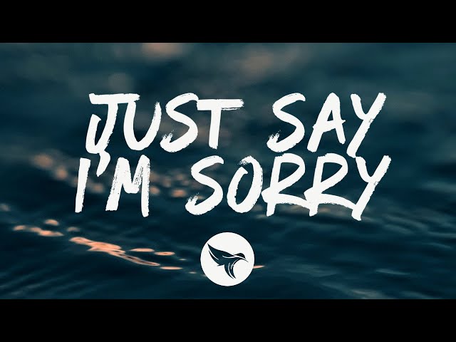 P!nk u0026 Chris Stapleton - Just Say I'm Sorry (Lyrics) class=