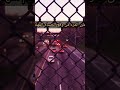 وظ لم ذوي القربى طر فة بن العبد الش عر الجاهلي