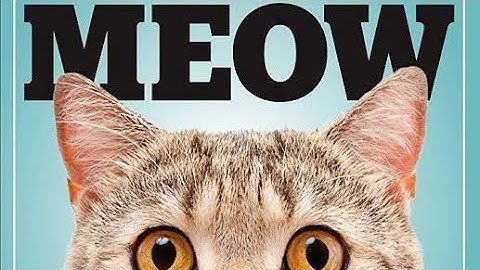 The Secret Language of Cats: Decoding 17 Surprising Meows