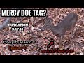 Wounded deer shoot or pass mercy doe tag piney life deer season 4 episode  17
