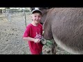 Horses Donkeys' What's next? | Navajo Reservation Project Update!