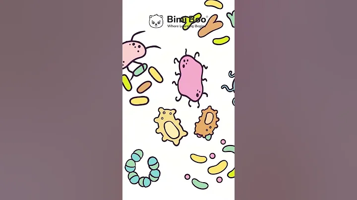 Eww, Germs! | Bimi Boo Preschool Learning for Kids