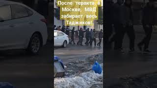 После теракта в Москве #теракт #instagram #musofir #tiktok #мвд #тероризм #мусофур #мусофир #таджики