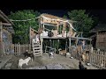 🔴LIVE Evening meals for stray dogs | 野良犬の夕食