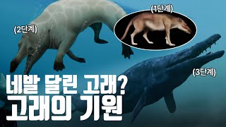 우리가 몰랐던 원시 고래의 모든 것, 네발 짐승이 바다로 다시 들어간 이유는? [지식의 발견]