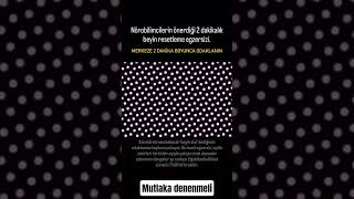 #makyaj #güz #canlıyayın #espor #aboneol #videoları #haber #gündem #lifestyle #kendinyap #diy #izle