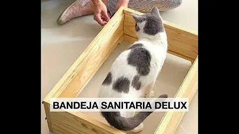 ¿Con qué frecuencia se debe cambiar la bandeja higiénica de plástico para gatos?