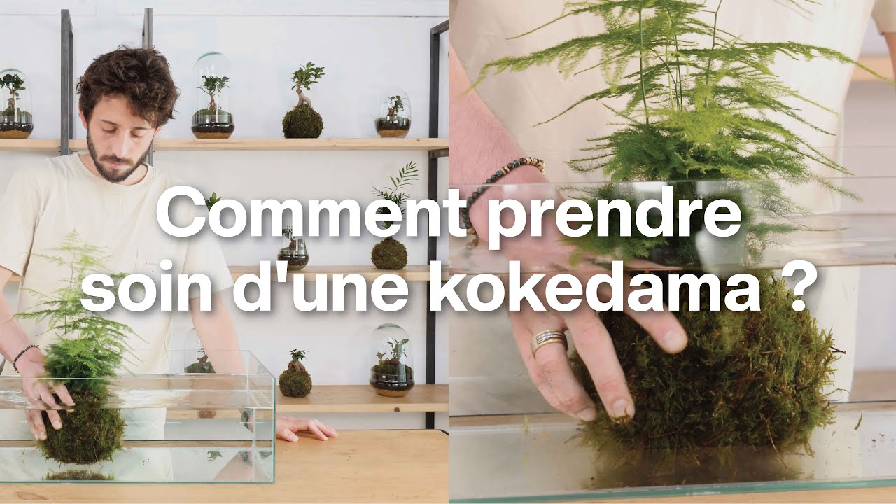 Keksa massajchi ayollarni qoli bilan orgazmga olib keladi. Homilador ayollar uchun jinsiy pozitsiyalar