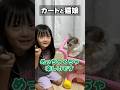 何の違和感もなくカートに乗せられる猫 #shorts