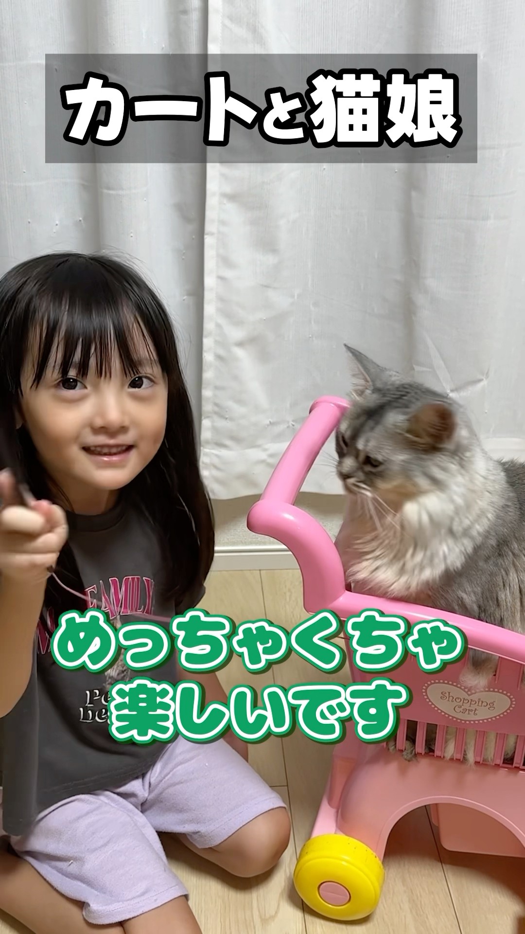 特訓するねこ。 - YouTube