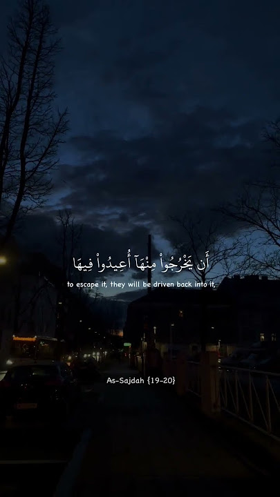 Surah السجدة Verse 19-20.              #fyp #quranrecitation #quran #surahsajda #surahsajdah