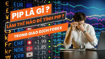 Pip là gì ? Hướng dẫn cách tính Pip trong giao dịch forex