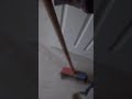 bush the floor