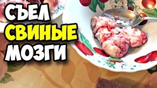 Съел свиные мозги и рулет из лаваша с крабовыми палочками || Друзья отказались пиво пить в пятницу Съел свиные мозги и рулет из лаваша с крабовыми палочками || Друзья отказались пиво пить в пятницу