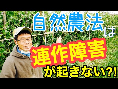 連作障害と自然農法の話 農業系ユーチューバー 年4月21日 Youtube