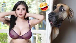 Top Funny Cats and Dogs Videos 2022 | Funniest Animals Videos Vol.3 by Nuka and Niku 348 views 1 year ago 2 minutes, 12 seconds