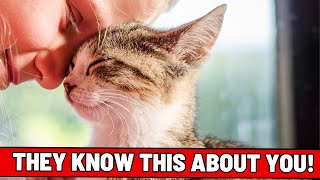 Shocking Secrets Your Cat Knows About You (And How It Affects Their Love)
