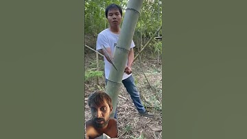 The hand-forged hatchet can easily cut down large trees #logging #logcuts #cuttingtrees #survival