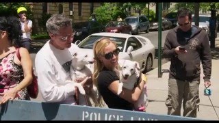 F İstanbul 2016 - Jackson Heights