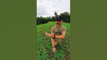 Zo wordt digitale scouting echt succes: HuntStand in actie.