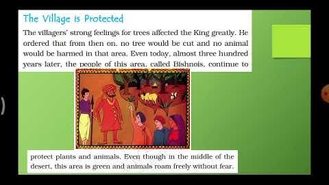 CBSE - 4th std EVS  Lesson  - 4 The Story of Amrita