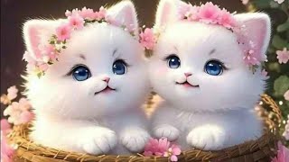 cute kitten baby!! beutiful kitten cute!!