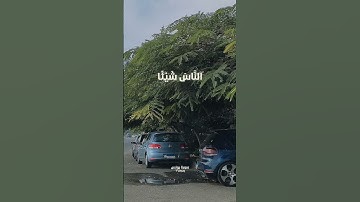 أَفَأَنتَ تَهْدِي الْعُمْيَ وَلَوْ كَانُوا لَا يُبْصِرُونَ  #سورة_يونس #عبدالرحمن_مسعد #اكسبلور#car