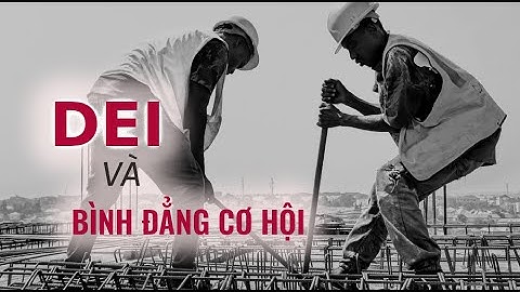 So sánh tư tưởng Đa dạng, Công bằng, Hòa nhập (DEI) với Bình đẳng Cơ hội | Trí Thức VN