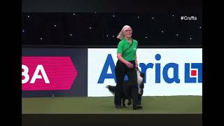 Jelly doing Rally Demo at Crufts 2024