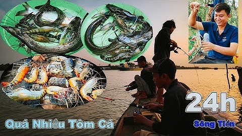 24h câu Tôm - bắt Cá trên " Sông  Tiền" | Gấc Quê