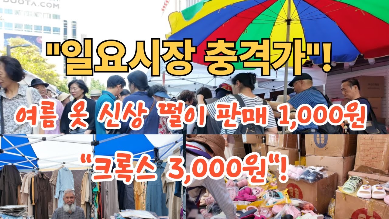 “1,000원 동대문 옷, 직접 사봤습니다!”~! 