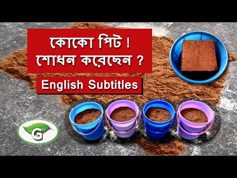 ভিডিও: কত কোকো সংরক্ষণ করা হয়