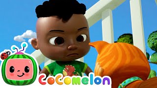Pet Care | CoComelon - Cody's Playtime | Songs for Kids & Nursery Rhymes