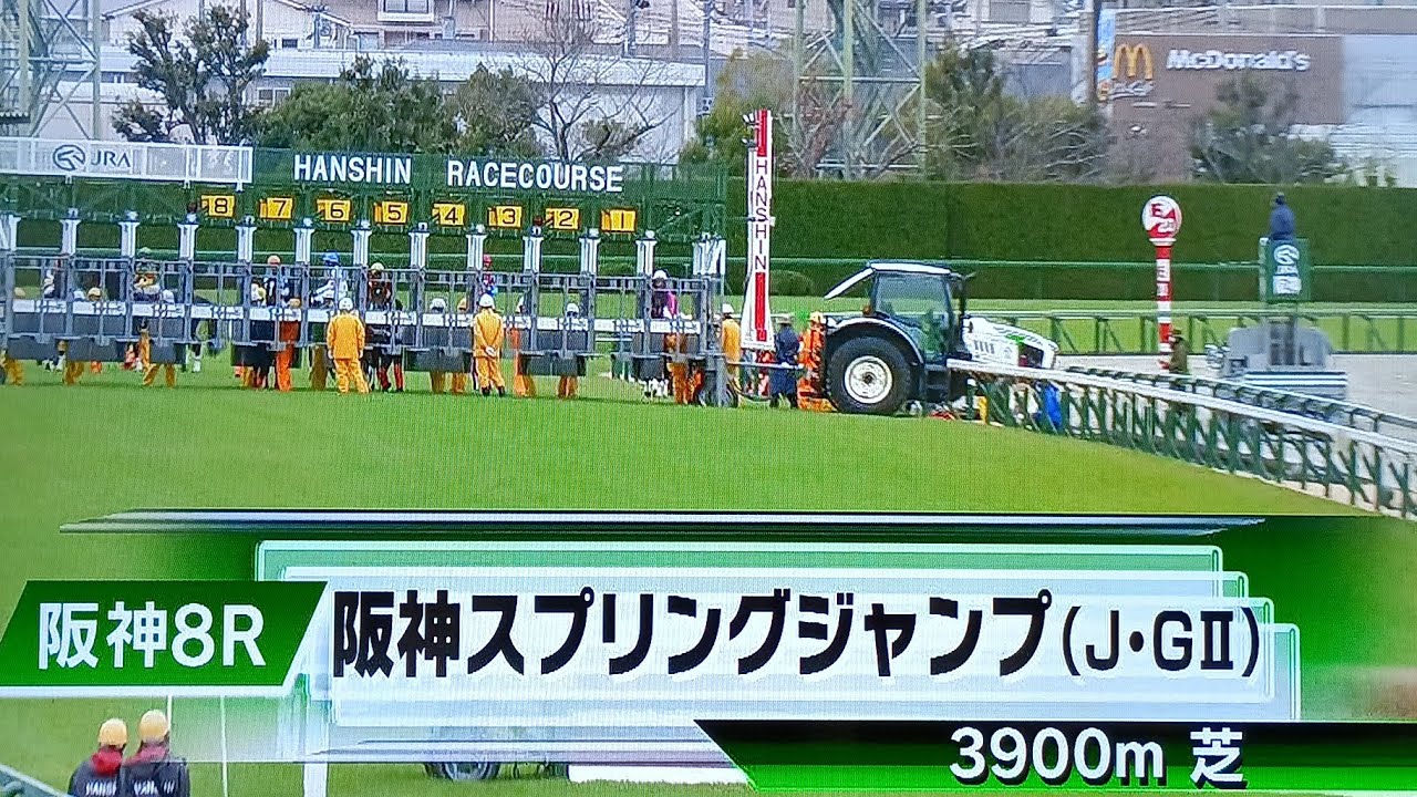 阪神8レース第27回阪神スプリングジャンプ(J・GⅡ) ヴェイルネビュラ