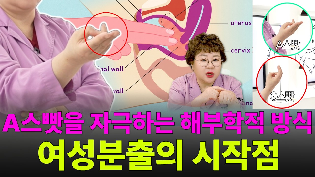 해부학적 관점에서 설명하는 질내부 자극점의 비밀. 이것은 분명 있습니다