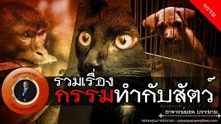 อาจารย์ยอด : รวมเรื่องกรรมทำกับสัตว์ [กรรม]