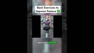 Best Back Exercises for Posture & Strength