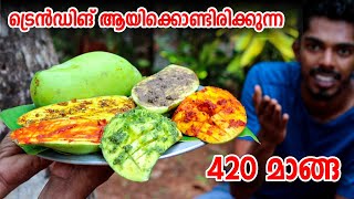 ട്രെൻഡിംഗ് 420 മാങ്ങ🔥🥵ഇത് തിന്നാൽ പിന്നെ ഒരു പുക മാത്രെ കാണൂ..... | 5 variety mango masala